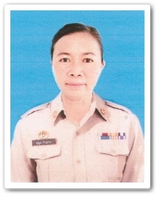 P01 1